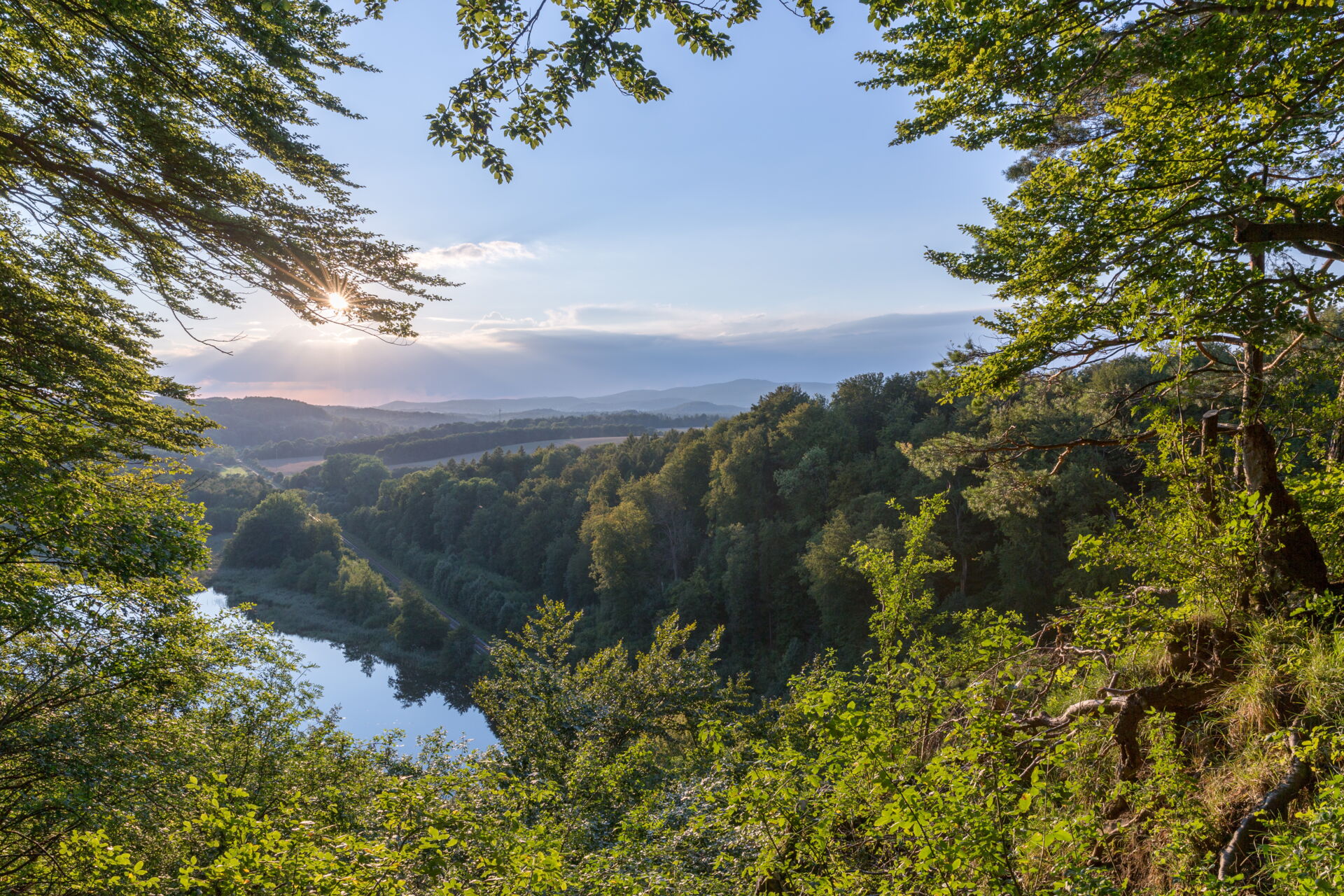 Bauen + Wohnen eG: Wohnen im Einklang mit der Natur in Bautzen und Umgebung Ein Ausblick durch grüne Baumkronen auf ein sanft geschwungenes Flusstal und bewaldete Hügel im Morgenlicht.