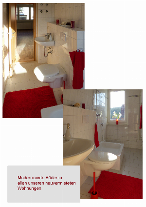 2,5 Zimmer Wohnung im wundervollen Schierke